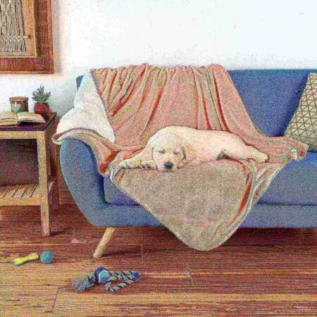 Pet Adobe Waterproof 50x60in Pet Throw Blanket, Pink 696639YMA